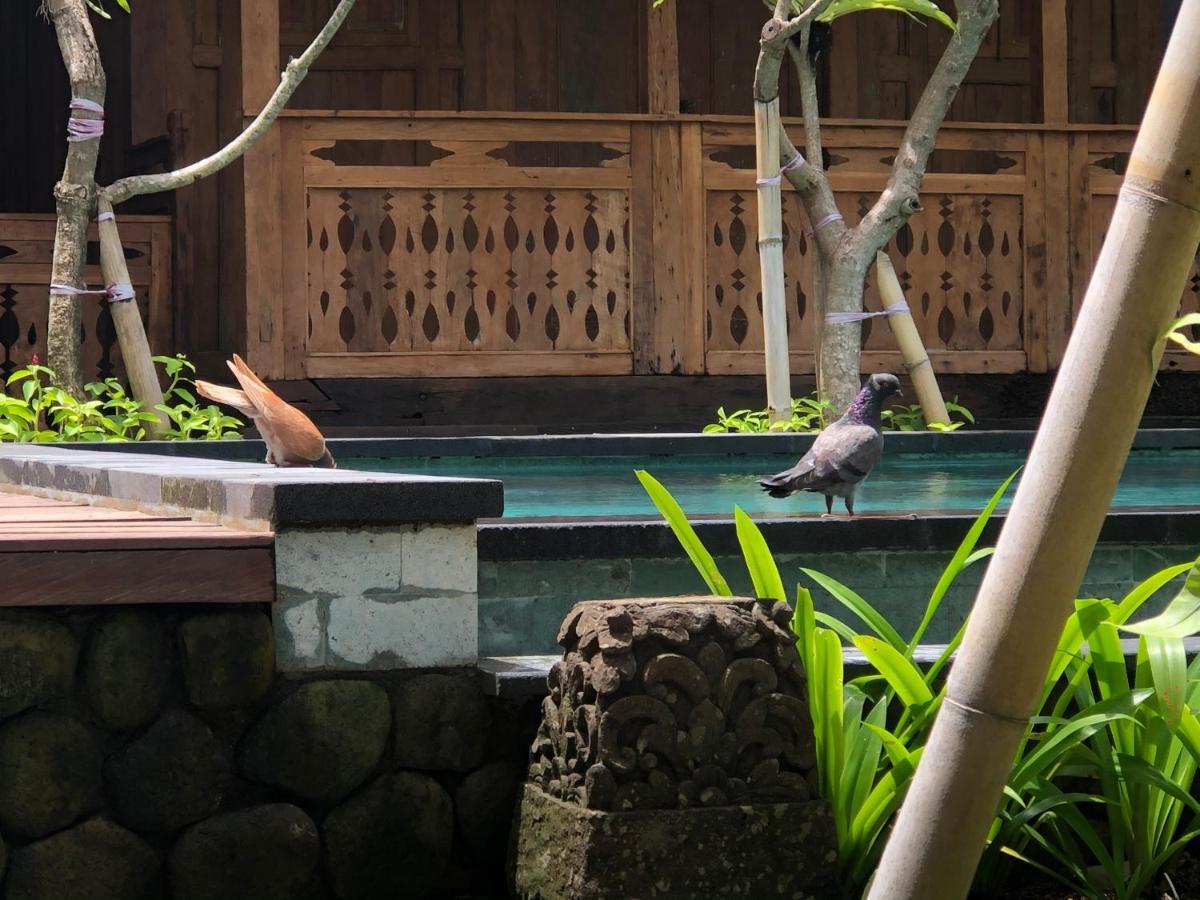 Melati Bali Homestay Чангу Экстерьер фото